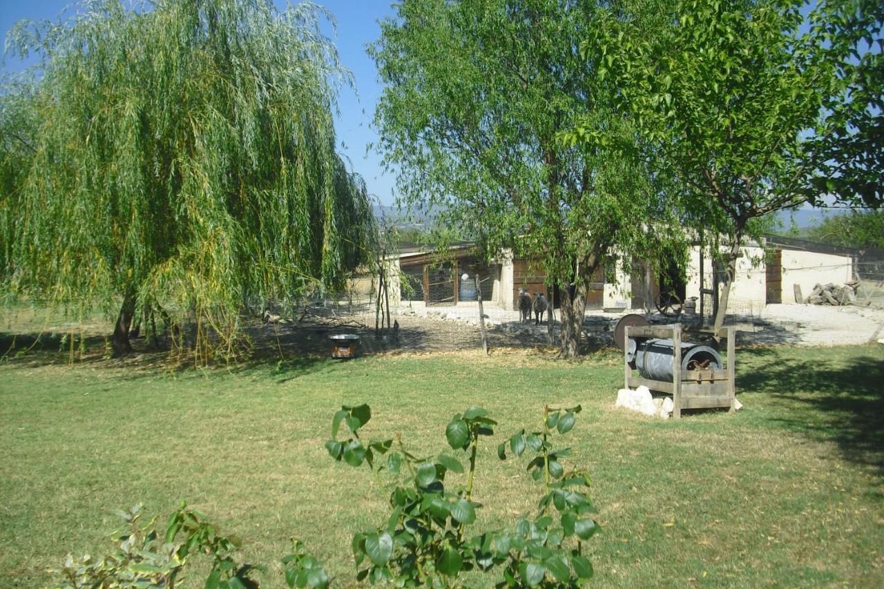 Appartamento La Lauze lou mas li pitchoun Gordes Esterno foto