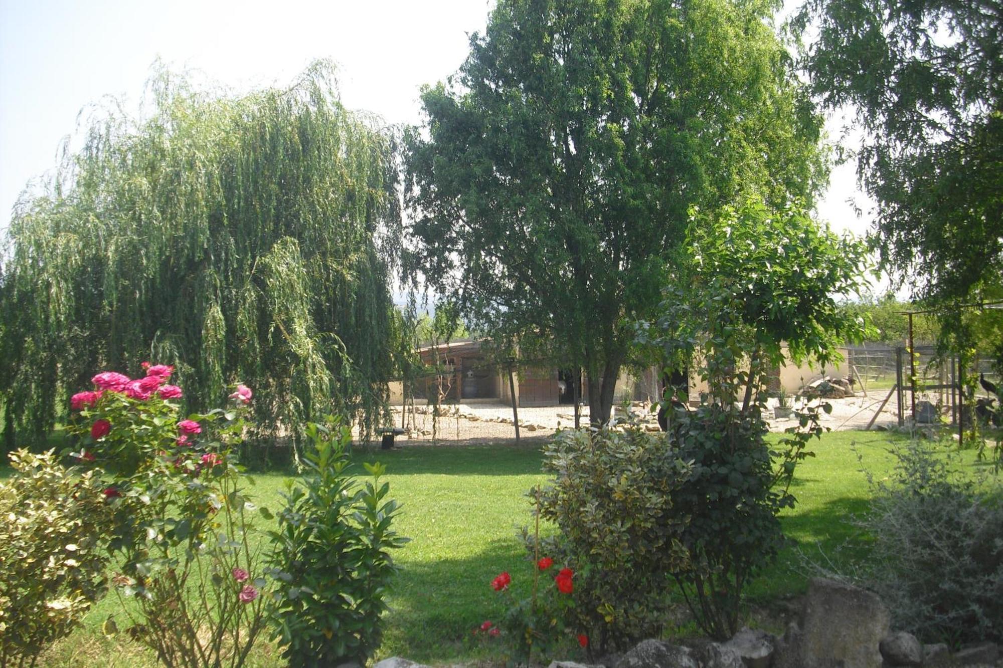 Appartamento La Lauze lou mas li pitchoun Gordes Esterno foto