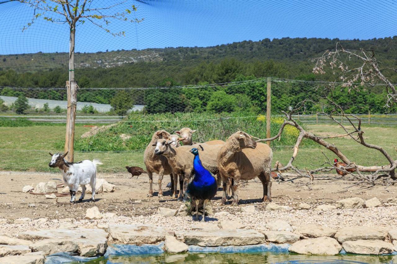 Appartamento La Lauze lou mas li pitchoun Gordes Esterno foto